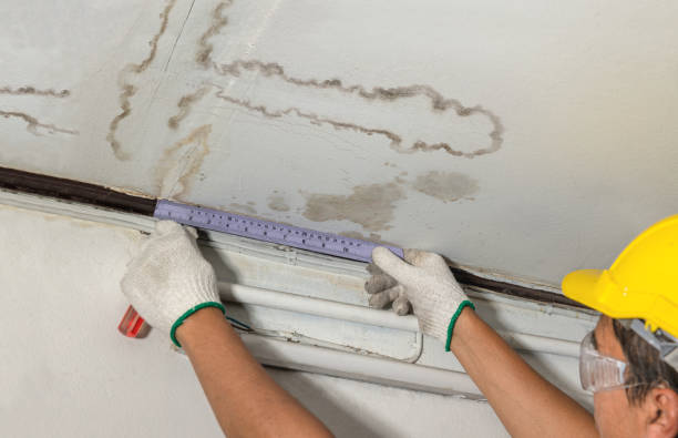 Reliable Mold Remediation contractor in Krum, TX by Water Damage Irwin